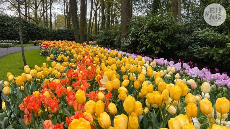 Parque Keukenhof 