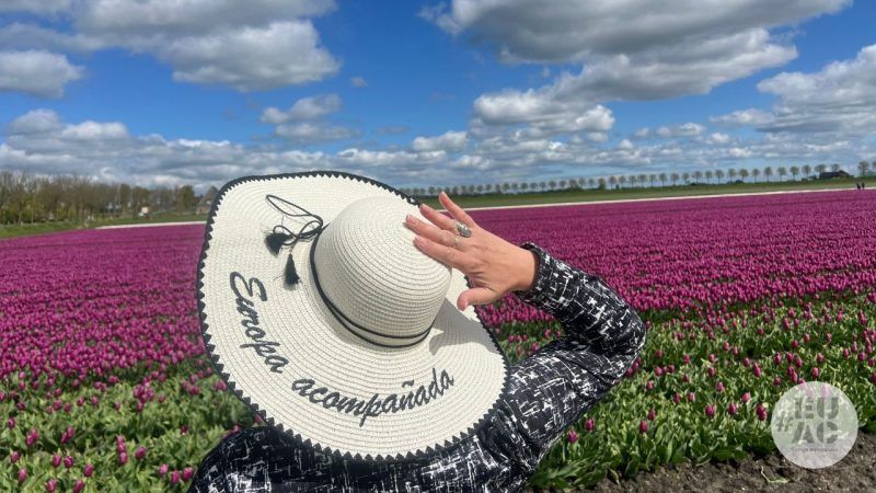 molinos y tulipanes holandeses